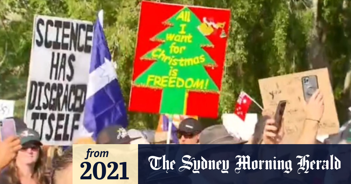 Video Cases surge in Queensland